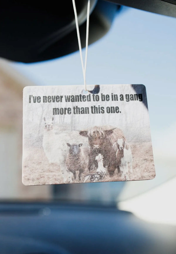 MY KINDA GANG CAR AIR FRESHENER